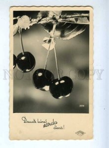 215704 GREETING Sweet CHERRY Ripe Vintage Photo Card