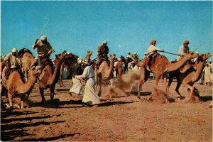 PC CPA SAUDI ARABIA, GETTING READY FOR THE CAMEL RACE, Modern Postcard (B3793)