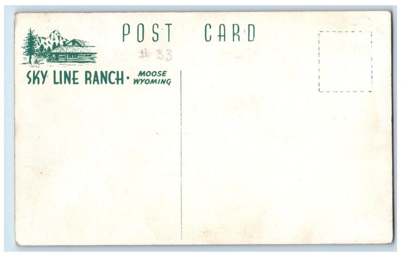 c1950's Taxidermy Deer Sky Line Ranch Interior Moose WY RPPC Photo Postcard