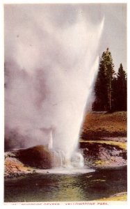 Wyoming  Yellowstone National Park  Riverside Geyser