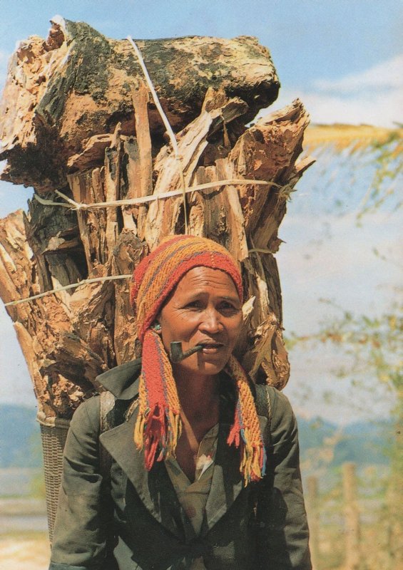 Fetching Fire Wood Vietnam Postcard