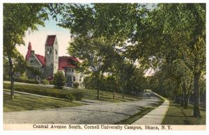 18118  NY Ithaca  Central Avenue South, Cornell Campus