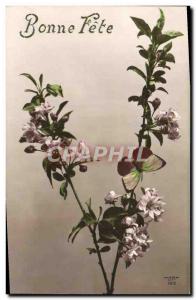 Old Postcard Fantasy Flowers Butterfly