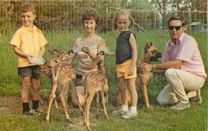 PA, Sharon? Pennsylvania, Sky View Camping Resort, Dexter Press No. 78828-C