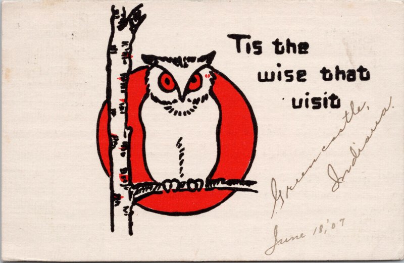 Owl In Tree 'Tis The Wise That Visit' Bird c1907 Postcard E65