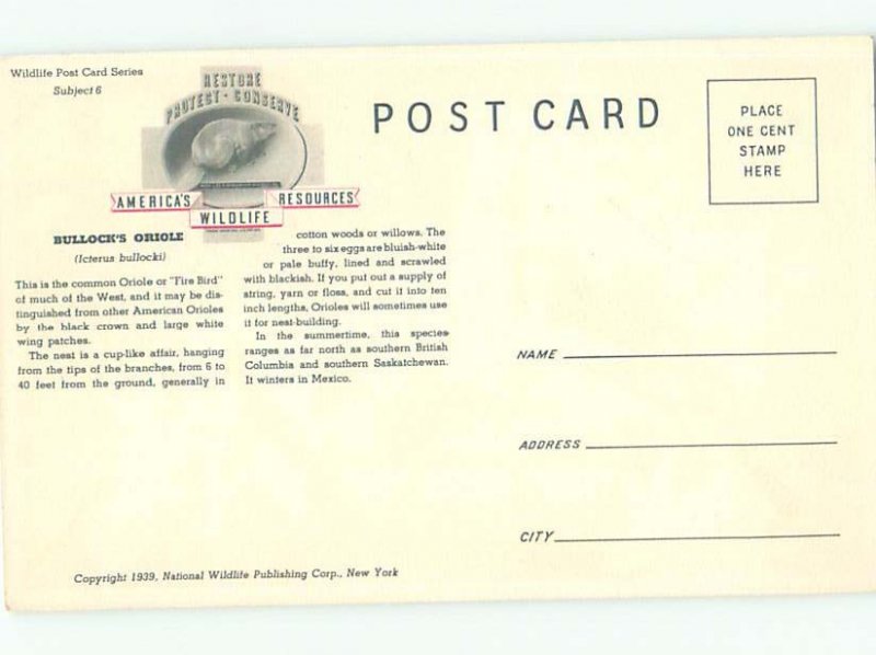 Pre-1980 BULLOCKS ORIOLE BIRD AC5972