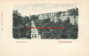 Czech Republic, Franzensbad, Frantiskovy Lazne, Culmerstrasse, Stengel No 2088