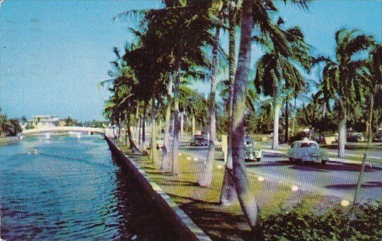 Florida Fort Lauderdale Las Olas Boulevard Along An Inland Waterway 1955