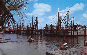 Shrimp Boats at the Docks  Forty Myers FL