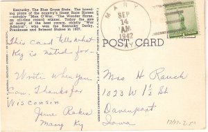 Man O' War, The Wonder Horse  Old vintage American postcard