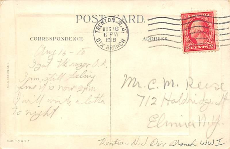 President Woodrow Wilson and American Flag View Postcard Backing 