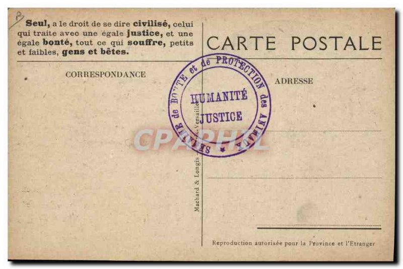 Old Postcard Equestrian Riding a conscious worker