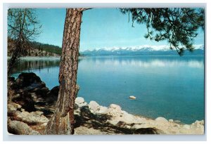 Vintage Flathead Lake Montana Postcard P220E