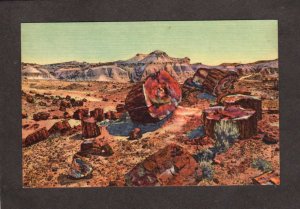 AZ Petrified Forest Trees Holbrook Arizona Postcard Linen PC