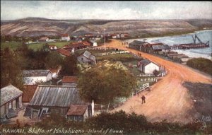 Tuck Island of Kauai Hawaii HI Bluffs at Makahuena Bluffs c1910 Vintage Postcard