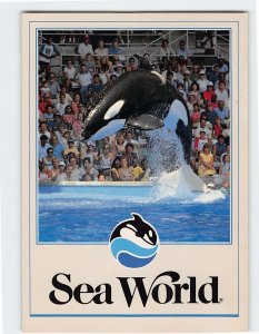 M-146934 Shamu Performs a Graceful Leap at Sea World USA