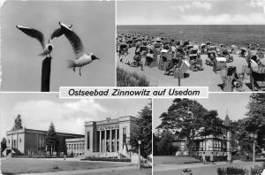 BG31736 ostseebad zinnowitz auf usedom  germany  CPSM 14.5x10cm