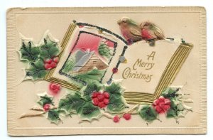 Postcard A Merry Christmas Birds On Book Vintage Standard View Embossed Card