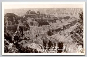 AZ View of Grand Canyon from Bright Angel Point Kaibab Forest RPPC Postcard J22