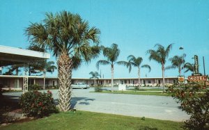 Vintage Postcard Clearwater Bay Motel Fort Harrison Finest Modern Clearwater FL