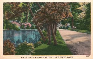 Vintage Postcard Greetings From Mastern Lake New York Pine Trees Landmark NY