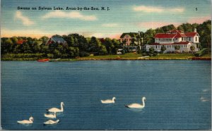 Vtg 1940s Swans on Sylvan Lake Avon-by-the-Sea New Jersey NJ Linen Postcard