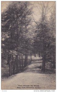 Path through the Woods, New York Botanical Gardens, New York, PU-1935