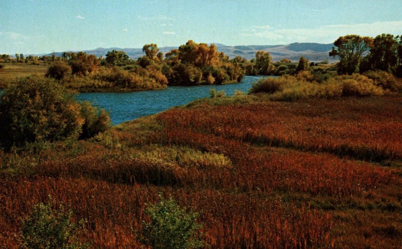 Madison River Near Ennis,MT BIN