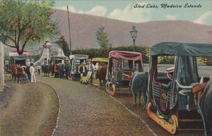 Portugal Madeira Islands Sled Cabs