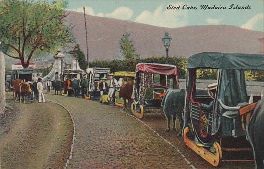 Portugal Madeira Islands Sled Cabs