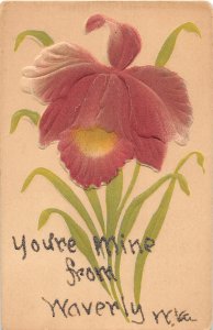 J20/ Waverly West Virginia Postcard c1910 Glitters Greeting Your Mine  110