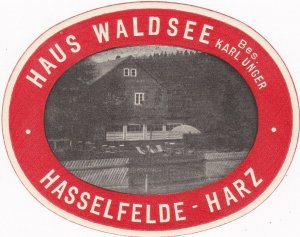 Germany Hasselfelde/Harz Haus Waldsee Vintage Luggage Label sk3205