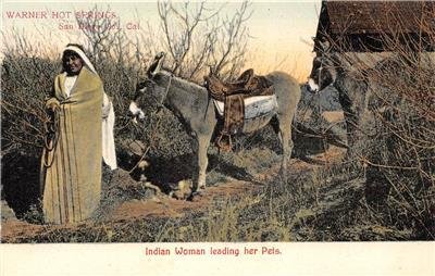 Indian Woman & Pets Warner Hot Springs CA Native American 1900s Vintage Postcard