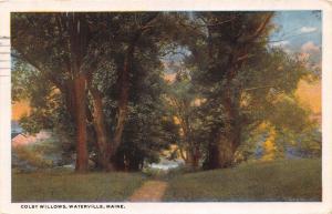 WATERVILLE MAINE COLBY WILLOWS~DIRT ROAD THRU TREES TO WATER POSTCARD 1923 PSTMK