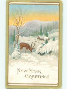 Divided-Back NEW YEAR SCENE Great Postcard W7556