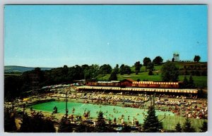 Outdoor Olympic Pool And Cabanas, Grossinger’s, Catskills New York Postcard