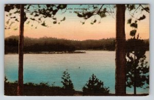 Lake Arrowhead California Linen Postcard Hand-Colored Scenic Woods View Posted