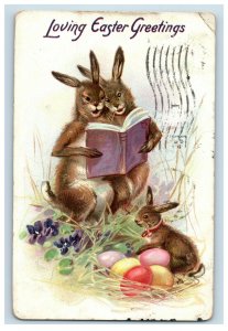 C.1910 Raphael Tuck Anthropomorphic Brown Rabbits Colored Eggs Postcard P50
