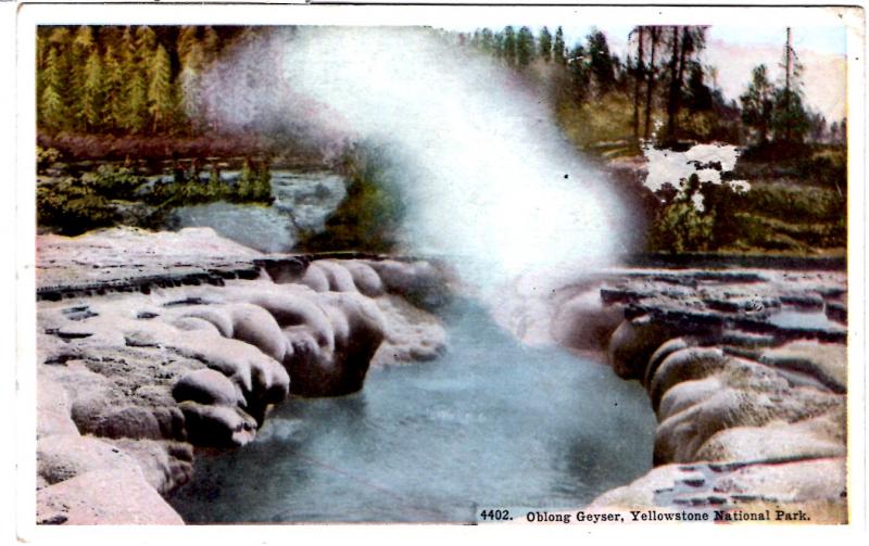 TAMMEN 4402 Oblong Geyser, Yellowstone National Park