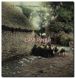 Old Postcard Folklore The return of the Sheep herd