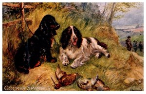 Dog , Cocker Spaniels , killed birds