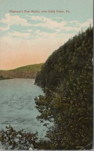 Postcard Elephant's Feet Rocks Near Eddy Farm PA 1915