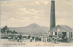 VINTAGE POSTCARD: commonwealth WEST INDIES - ST KITTS 