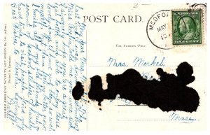 Dog , Marten and Pearl