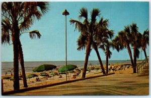 Gently Swaying Palms Along the Boardwalk at Myrtle Beach, South Carolina