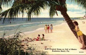 Florida Bradenton Beach Tropical Scene On Gulf Of Mexico Curteich
