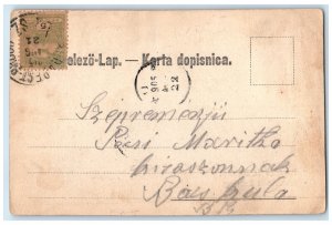 1922 Greetings from Osieka Essegg Jager's Street Croatia Posted Postcard