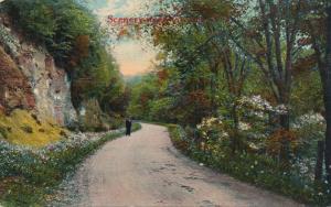 Scenery along Rural Road - Groton NY, New York - pm 1912 - DB