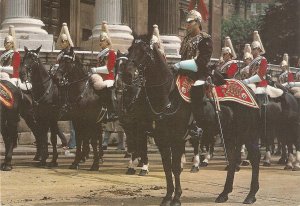 London. The Life Guard. Horses Modern English Postcard. Size 15 x 10.5 cmsw
