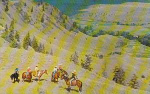 Canada Horseback Riders From Quilchena Hotel Quilchena 